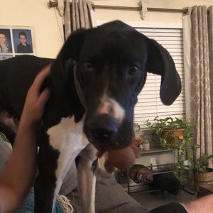 Meet your Posher, Danielle